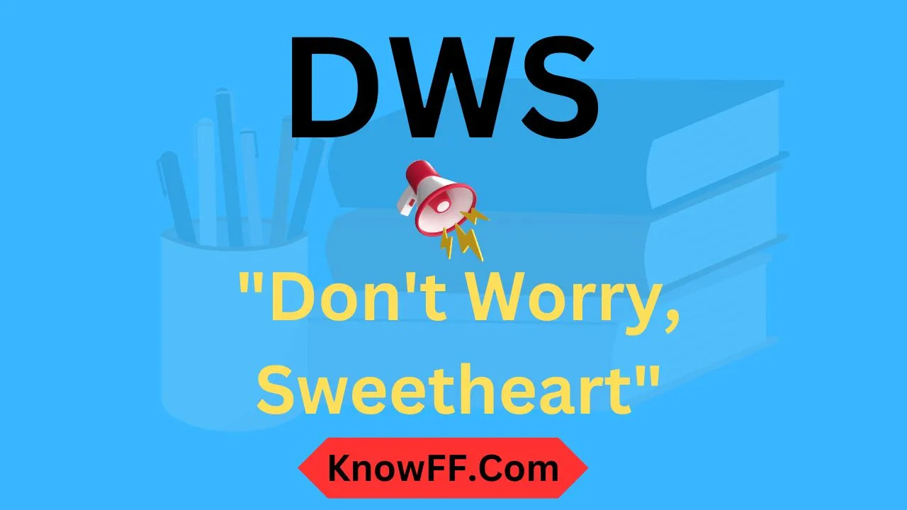 What Does DWS Mean