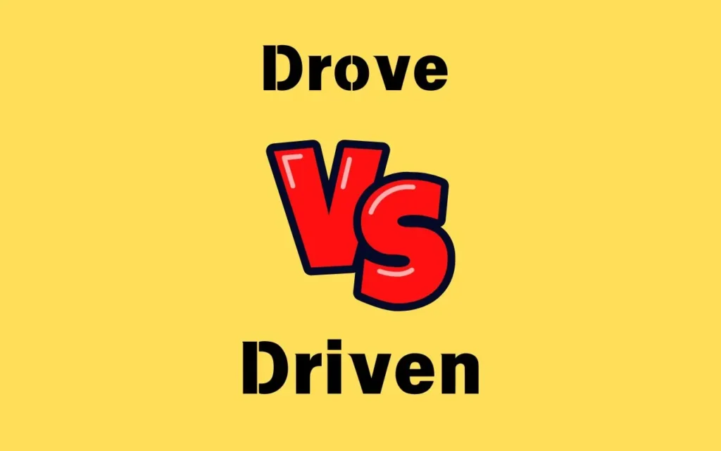 Drove or Driven