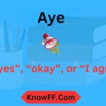 Aye Meaning in Text