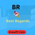 BR Meaning in Text