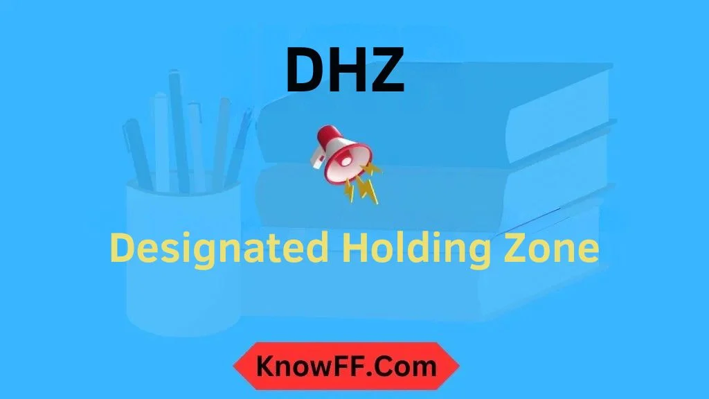 DHZ Meaning in Text