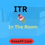 ITR Meaning in Text