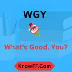 WGY Meaning in Text