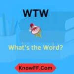 WTW Meaning in Text Slang