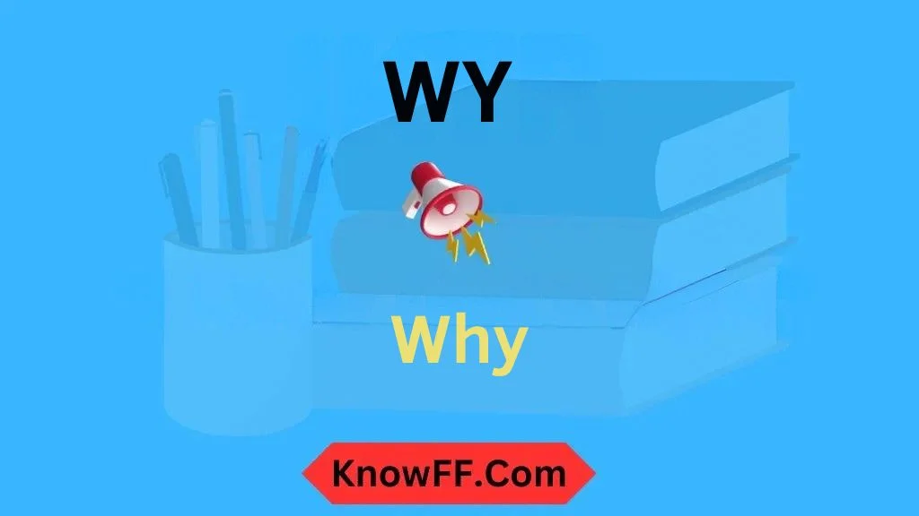 WY Meaning in Text
